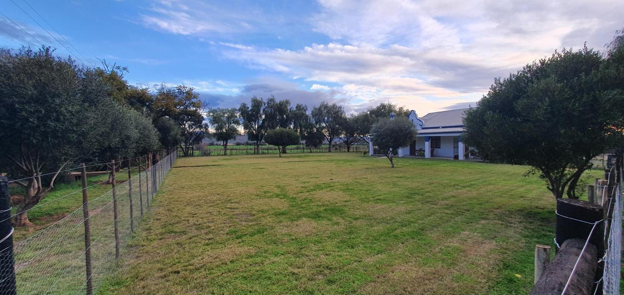 Villa Karoo Leeu Self Catering Oudtshoorn Esterno foto