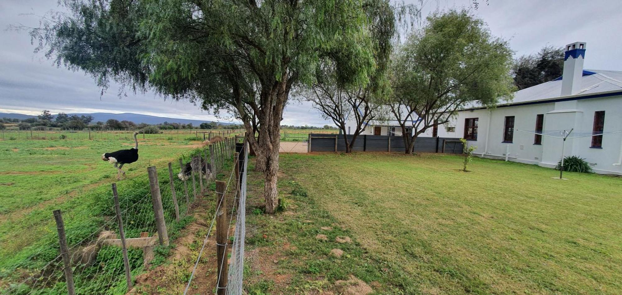 Villa Karoo Leeu Self Catering Oudtshoorn Esterno foto