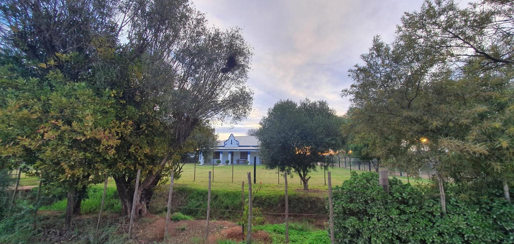Villa Karoo Leeu Self Catering Oudtshoorn Esterno foto