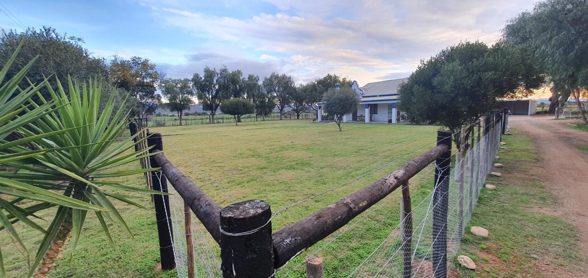 Villa Karoo Leeu Self Catering Oudtshoorn Esterno foto
